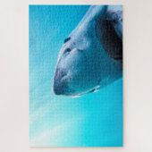 Puzzle Grand requin blanc | Afrique du Sud (Vertical)