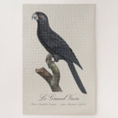 Puzzle Grand Vasa, Coracopsis Vasa Illustration (Vertical)