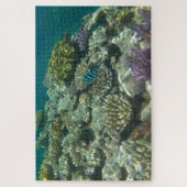 Puzzle grande barrière de corail (Vertical)