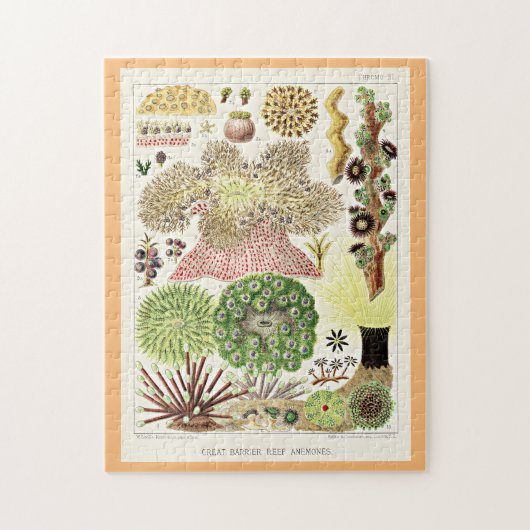 Puzzle Grande barrière de corail de l'Australie Anémones (Vertical)
