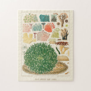 Puzzle Grande barrière vintage de corail d'Australie