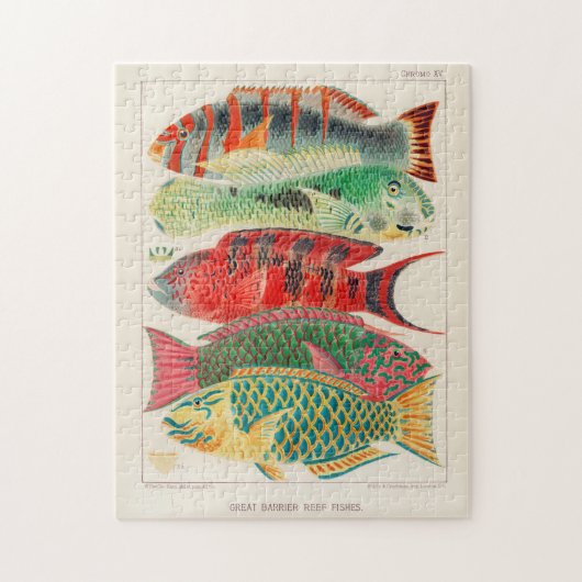 Puzzle Grande barrière vintage de l'Australie Poissons (Vertical)