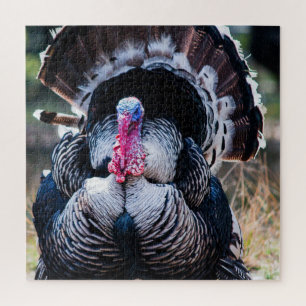 Puzzle Grande fête de Thanksgiving Turquie