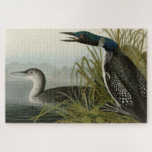 Puzzle Grande plongeur du Nord Loon Audubon Oiseaux d'Amé