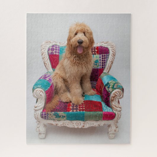 Puzzle Grandes images| Coute Goldendoodle (Vertical)