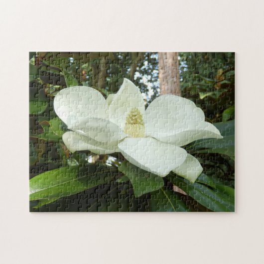 Puzzle grandiflora de photo de magnolia avec la (Horizontal)