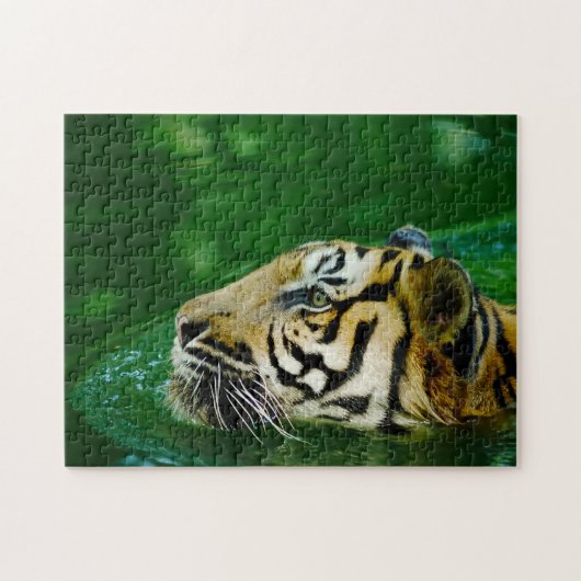 Puzzle Grands chats de tigre malais (Horizontal)