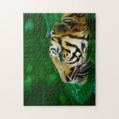 Puzzle Grands chats de tigre malais (Vertical)