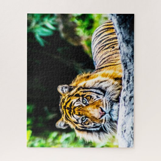 Puzzle Grands chats de tigres (Vertical)