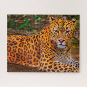 Puzzle Grands félins jaguar.