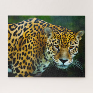 Puzzle Grands félins jaguar.