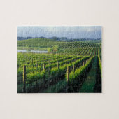 Puzzle Grapevines en rangées soignées dans la Napa de Cal (Horizontal)