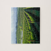 Puzzle Grapevines en rangées soignées dans la Napa de Cal (Vertical)