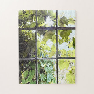 Puzzle Grapevines Seen Through Window