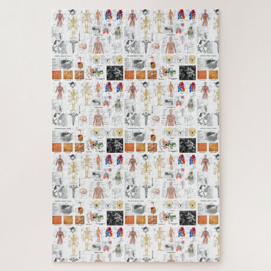 Puzzle Graphique Médicale de l'anatomie humaine (Vertical)