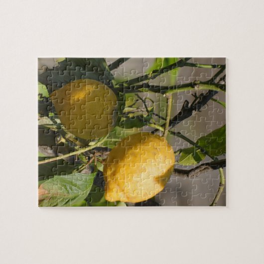 Puzzle Graphiques Citron Espagnol (Horizontal)