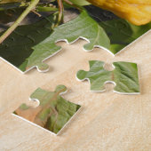 Puzzle Graphiques Citron Espagnol (Côté)