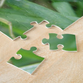 Puzzle Grasshopper (Côté)