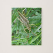 Puzzle Grasshopper (Vertical)