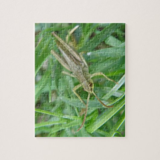 Puzzle Grasshopper (Vertical)