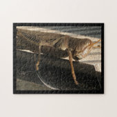 Puzzle Grasshopper (Horizontal)