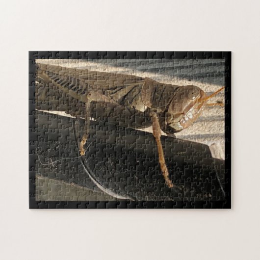 Puzzle Grasshopper (Horizontal)