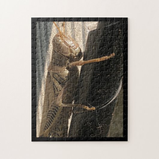 Puzzle Grasshopper (Vertical)