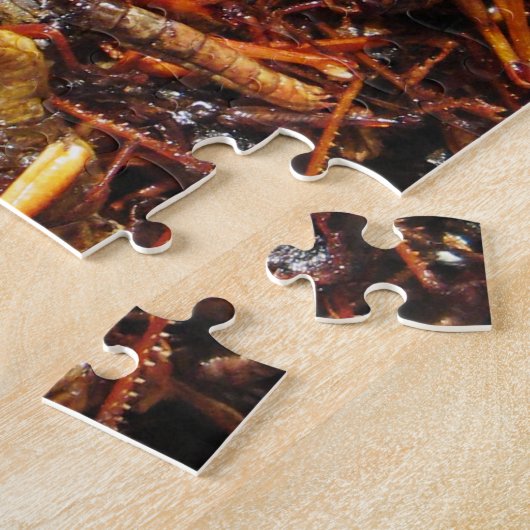 Puzzle Grasshopper frit (Takkataen Thot) Alimentation asi (Côté)