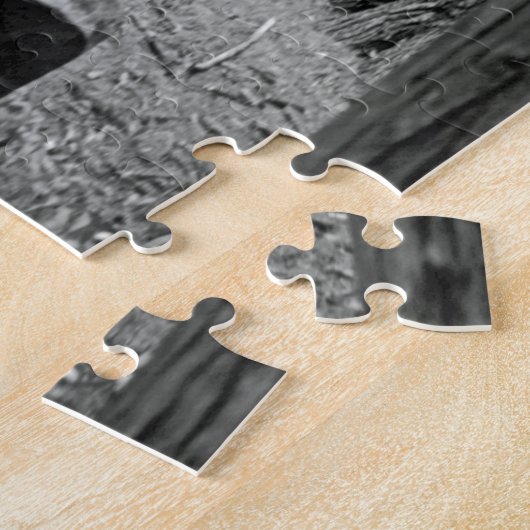 Puzzle Grave oubliée (Côté)