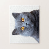 Puzzle Gray cat yellow (Vertical)