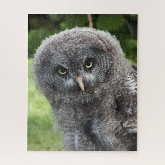 PUZZLE GRAY OWL (Vertical)