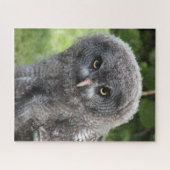 PUZZLE GRAY OWL (Horizontal)
