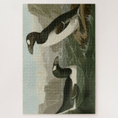 Puzzle Great Auk - John James Audubon's Birds of America (Vertical)