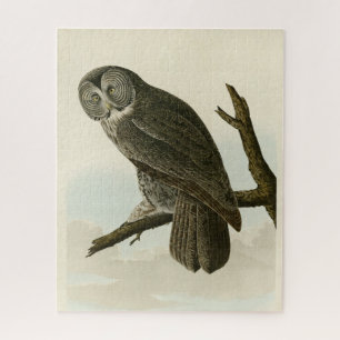Puzzle Great Cinereous Owl from Audubon Birds of America