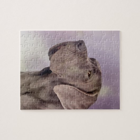 Puzzle Great dane - Deutsche Dogge (Horizontal)