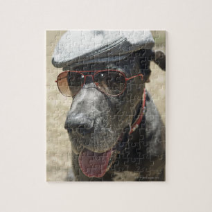 Puzzle Great dane utilisant le casquette et les lunettes