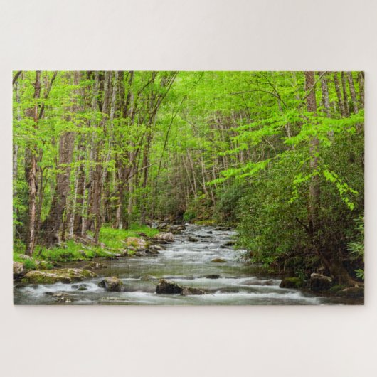 Puzzle Great Smoky Mountains National Park Caroline du No (Horizontal)