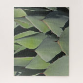 Puzzle Green Agave Feuille Botanique Photo Sud-ouest (Vertical)