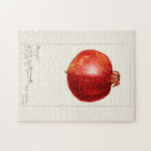 Puzzle Grenades (Punica Granatum) Peinture de fruits (Horizontal)