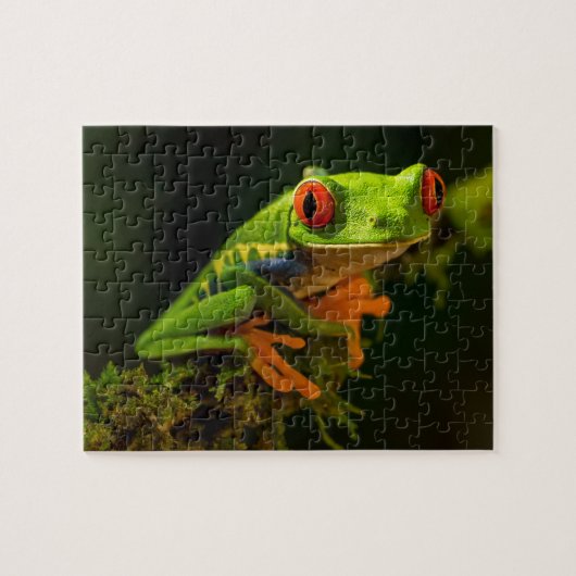 Puzzle Grenouille à arbre rouge (Horizontal)