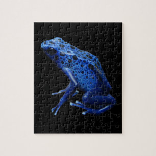 Puzzle Grenouille à tarte à poison bleu