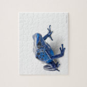 Puzzle Grenouille à tarte (Dendrobates Tinctorius) (Vertical)