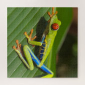 Puzzle Grenouille arboricole colorée (Horizontal)