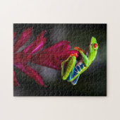 Puzzle Grenouille aux yeux rouges (Horizontal)