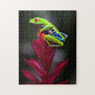 Puzzle Grenouille aux yeux rouges