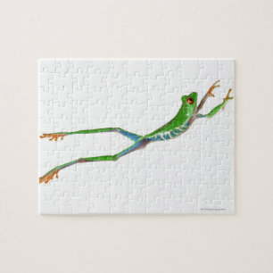 Puzzle Grenouille aux yeux rouges saut