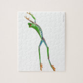 Puzzle Grenouille aux yeux rouges saut (Vertical)