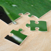 Puzzle Grenouille d'arbre du Costa Rica (Côté)