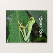 Puzzle Grenouille d'arbre du Costa Rica (Horizontal)