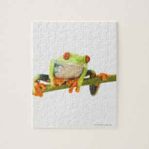 Puzzle Grenouille d'arbre sur la tige